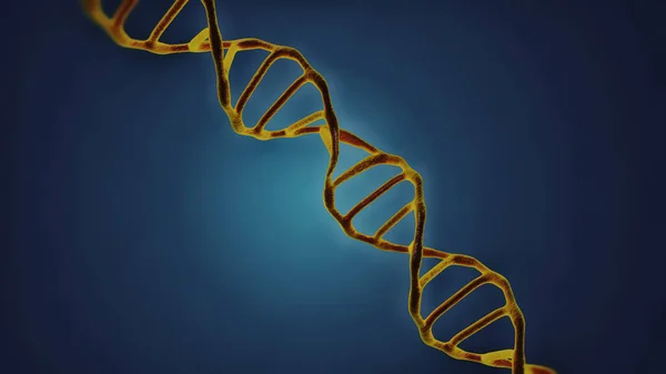 Bu sahneyi mikroskop altında görüntülenen Dna molekülleri bir koyu arka plan. Kavram moleküler biyoloji ve biyoteknoloji, Deoksiribonükleik asit genleri. 3D render.
