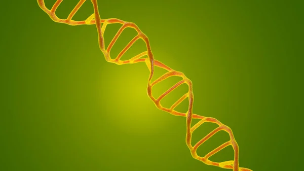 Bu sahne, DNA moleküllerini mikroskop altında yeşil bir arkaplanla karşılaştırıyor. Moleküler biyoloji ve biyoteknoloji kavramı, deoksiribonükleik asit genomları. 3B görüntüleme.