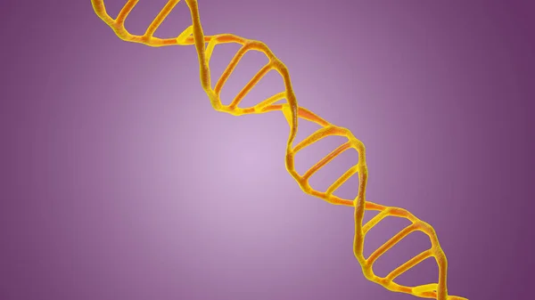 Bu sahne, DNA moleküllerini mikroskop altında leylak arkaplanıyla karşılaştırıyor. Moleküler biyoloji ve biyoteknoloji kavramı, deoksiribonükleik asit genomları. 3B görüntüleme.
