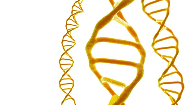 Bu sahne, beyaz arkaplandaki bir DNA molekülünün mikroskobu altında incelenir. Moleküler biyoloji ve biyoteknoloji kavramı, deoksiribonükleik asit genomları. 3B görüntüleme.