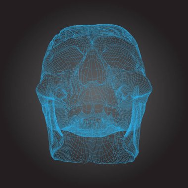 Kafatası İnsan, Korkunç, Beyaz Çizgiler 'de yerel deforme olmuş siyah arka plan, ön görüş, geometrik çokgen kafatası çizgisi sanatı. Vektör İllüstrasyonu