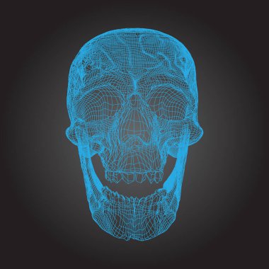 Kurukafa İnsan, Korkunç, Mavi Çizgilerde Deforme olmuş Karanlık arka plan, ön görüş, geometrik çokgen kafatası çizgisi sanatı. Vektör İllüstrasyonu