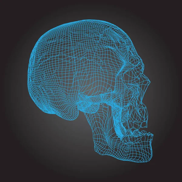 Skull Human, Scary, in Blue Shining Lines on the Dark background, Side view, geometrik polygons cranium line art. Vektör İllüstrasyonu