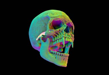 Only Human skull full face on Black Isolated Background. The concept art of death, horror. Design for print, poster. A symbol of spooky Halloween, Virus, immortal, pirat. 3d rendering illustration.	