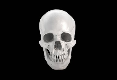 Only Human skull full face on Black Isolated Background. The concept art of death, horror. Design for print, poster. A symbol of spooky Halloween, Virus, immortal, pirat. 3d rendering illustration.	