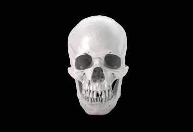 Only Human skull full face on Black Isolated Background. The concept art of death, horror. Design for print, poster. A symbol of spooky Halloween, Virus, immortal, pirat. 3d rendering illustration.	