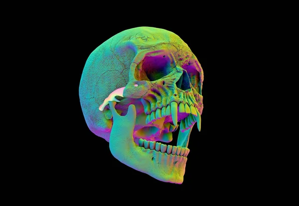 Only Human Skull Full Face Black Isolated Background Concept Art — стокове фото