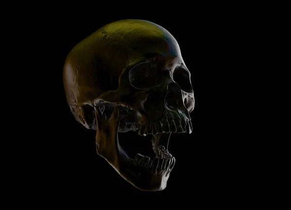 Human Skull Full Face Black Isolated Background Concept Art Death — Stock Photo, Image