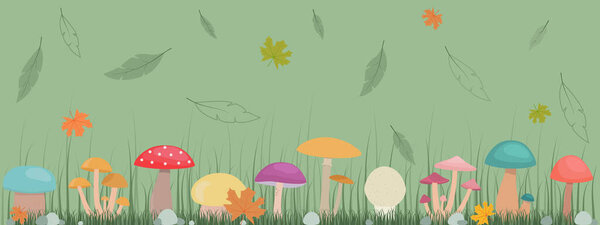 Vector horizontal cartoon pattern of edible and inedible mushrooms in the forest. Autumn leaf fall.