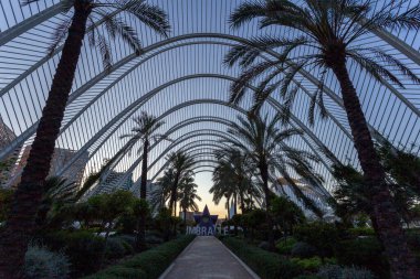 Valencia, İspanya - 05 05 05 2022: Valencia, İspanya 'daki Sanat ve Bilim Şehri' nde L 'Umbracle.