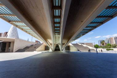 Valencia, İspanya - 05 06 2022: Valencia Sanat ve Bilim Şehri 'nde Sanat Sarayı (Palau de les Arts Reina Sofia).