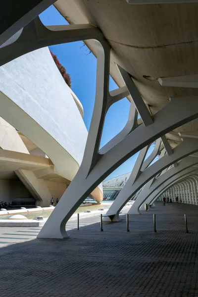 Valencia Spanien 2022 Palast Der Künste Palau Les Arts Reina — Stockfoto