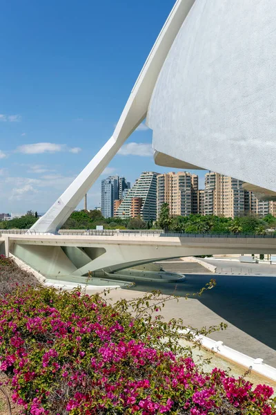 Valencia Spanya 2022 Valencia Sanat Bilim Şehri Nde Sanat Sarayı — Stok fotoğraf