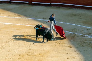 Valencia, İspanya - 05 06 2022: boğa güreşçisi boğa güreşini ringde bekliyor. İspanya, Valencia 'da güneşli bir bahar gününde Corrida de Toros.