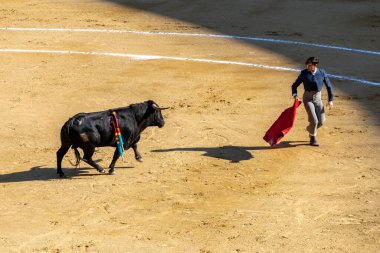 Valencia, İspanya - 05 06 2022: boğa güreşçisi boğa güreşini ringde bekliyor. İspanya, Valencia 'da güneşli bir bahar gününde Corrida de Toros.