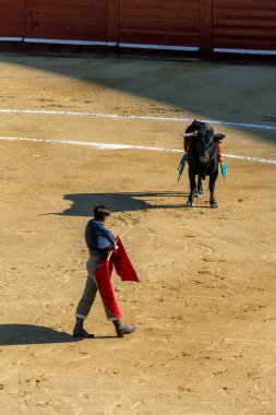 Valencia, İspanya - 05 06 2022: boğa güreşçisi boğa güreşini ringde bekliyor. İspanya, Valencia 'da güneşli bir bahar gününde Corrida de Toros.