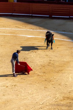 Valencia, İspanya - 05 06 2022: boğa güreşçisi boğa güreşini ringde bekliyor. İspanya, Valencia 'da güneşli bir bahar gününde Corrida de Toros.