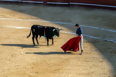 Valencia, İspanya - 05 06 2022: boğa güreşçisi boğa güreşini ringde bekliyor. İspanya, Valencia 'da güneşli bir bahar gününde Corrida de Toros.