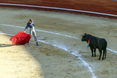 Valencia, İspanya - 05 06 2022: boğa güreşçisi boğa güreşini ringde bekliyor. İspanya, Valencia 'da güneşli bir bahar gününde Corrida de Toros.