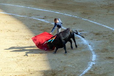 Valencia, İspanya - 05 06 2022: Boğa güreşçisi ringde boğayla oynuyor. İspanya, Valencia 'da güneşli bir bahar gününde Corrida de Toros.