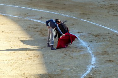 Valencia, İspanya - 05 06 2022: Boğa güreşçisi ringde boğayla oynuyor. İspanya, Valencia 'da güneşli bir bahar gününde Corrida de Toros.