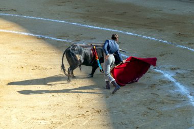 Valencia, İspanya - 05 06 2022: Boğa güreşçisi ringde boğayla oynuyor. İspanya, Valencia 'da güneşli bir bahar gününde Corrida de Toros.