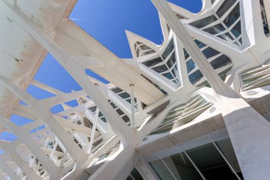 Valencia, İspanya - 05 06 2022: Valencia, İspanya 'da güneşli bir bahar gününde Sanat ve Bilim Müzesi.