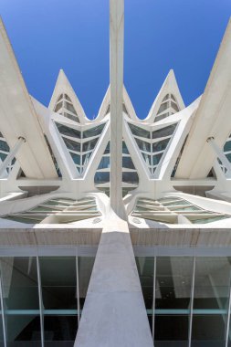 Valencia, İspanya - 05 06 2022: Valencia, İspanya 'da güneşli bir bahar gününde Sanat ve Bilim Müzesi.
