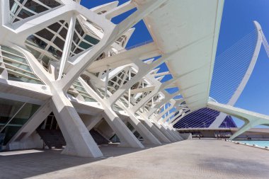 Valencia, İspanya - 05 06 2022: Valencia, İspanya 'da güneşli bir bahar gününde Sanat ve Bilim Müzesi.