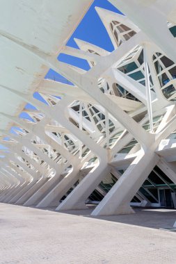 Valencia, İspanya - 05 06 2022: Valencia, İspanya 'da güneşli bir bahar gününde Sanat ve Bilim Müzesi.