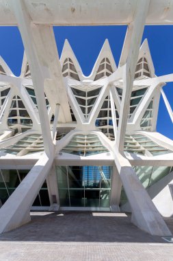 Valencia, İspanya - 05 06 2022: Valencia, İspanya 'da güneşli bir bahar gününde Sanat ve Bilim Müzesi.