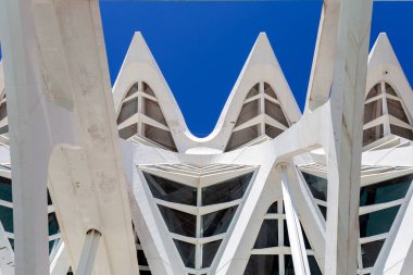 Valencia, İspanya - 05 06 2022: Valencia, İspanya 'da güneşli bir bahar gününde Sanat ve Bilim Müzesi.
