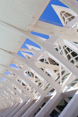Valencia, İspanya - 05 06 2022: Valencia, İspanya 'da güneşli bir bahar gününde Sanat ve Bilim Müzesi.