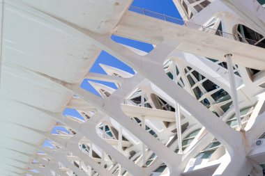 Valencia, İspanya - 05 06 2022: Valencia, İspanya 'da güneşli bir bahar gününde Sanat ve Bilim Müzesi.