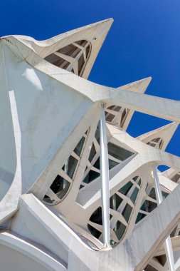 Valencia, İspanya - 05 06 2022: Valencia, İspanya 'da güneşli bir bahar gününde Sanat ve Bilim Müzesi.