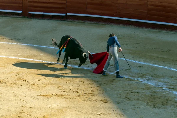 西班牙瓦伦西亚 2022年6月5日 一名斗牛士在斗牛场等公牛 在一个阳光灿烂的春天 西班牙瓦伦西亚的Corrida Toros — 图库照片