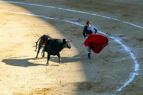 Valencia, İspanya - 05 06 2022: boğa güreşçisi boğa güreşini ringde bekliyor. İspanya, Valencia 'da güneşli bir bahar gününde Corrida de Toros.