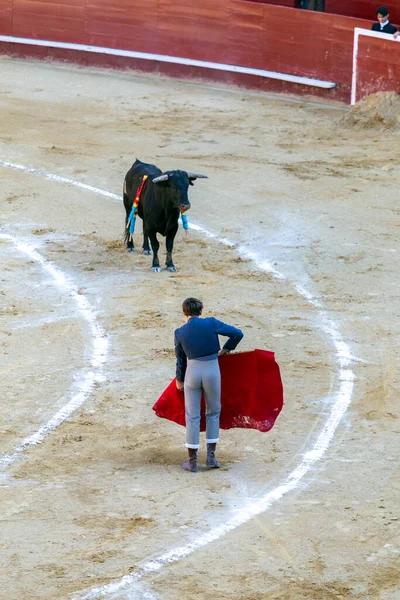 Валенсія Іспанія 2022 Бульбоєць Чекає Бика Кільці Corrida Toros Валенсії — стокове фото