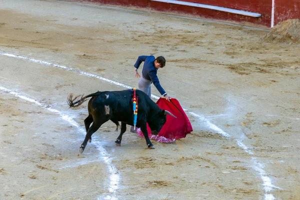 バレンシア スペイン 2022 闘牛場で雄牛と遊んで闘牛士 バレンシアのCorrida Toros スペイン晴れた春の日に — ストック写真