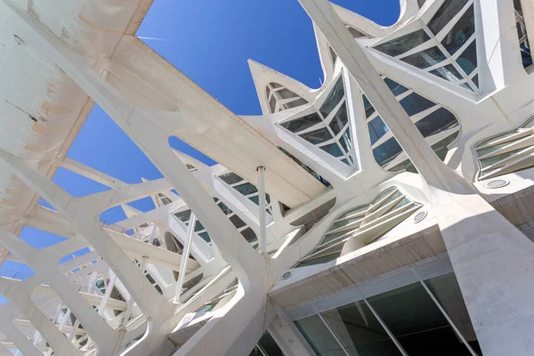 Valencia, İspanya - 05 06 2022: Valencia, İspanya 'da güneşli bir bahar gününde Sanat ve Bilim Müzesi.