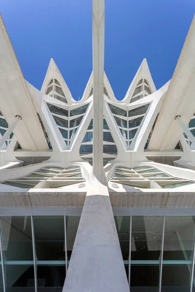 Valence Espagne 2022 Musée Des Sciences Cité Des Arts Des — Photo