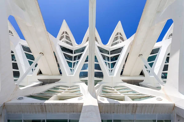 Valencia, İspanya - 05 06 2022: Valencia, İspanya 'da güneşli bir bahar gününde Sanat ve Bilim Müzesi.