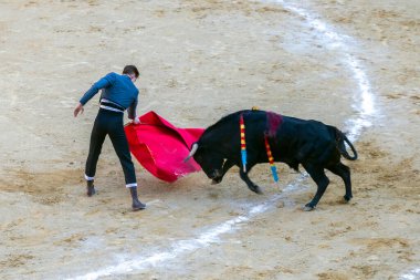 Valencia, İspanya - 05 06 2022: boğa güreşçisi boğa güreşini ringde bekliyor. İspanya, Valencia 'da güneşli bir bahar gününde Corrida de Toros.