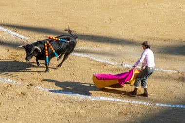 Valencia, İspanya - 05 06 2022: Boğa güreşçisi ringde boğayla oynuyor. İspanya, Valencia 'da güneşli bir bahar gününde Corrida de Toros.