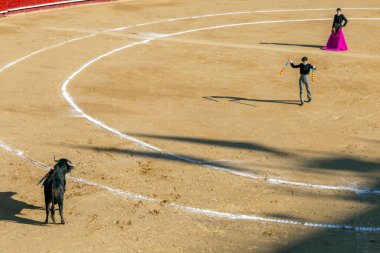 Valencia, İspanya - 05 06 2022: Boğa güreşçisi ringde boğayla oynuyor. İspanya, Valencia 'da güneşli bir bahar gününde Corrida de Toros.