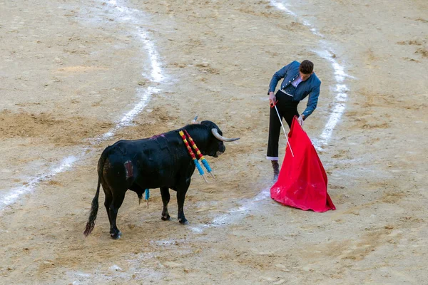 Valencia, İspanya - 05 06 2022: boğa güreşçisi boğa güreşini ringde bekliyor. İspanya, Valencia 'da güneşli bir bahar gününde Corrida de Toros.