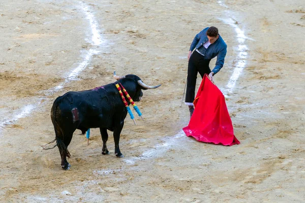 Valencia, İspanya - 05 06 2022: boğa güreşçisi boğa güreşini ringde bekliyor. İspanya, Valencia 'da güneşli bir bahar gününde Corrida de Toros.