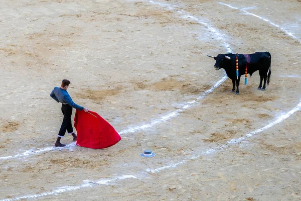Valencia, İspanya - 05 06 2022: boğa güreşçisi boğa güreşini ringde bekliyor. İspanya, Valencia 'da güneşli bir bahar gününde Corrida de Toros.