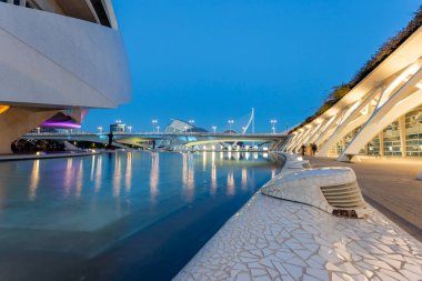 Valencia, İspanya - 05 07 2022: Valencia Sanat ve Bilim Şehri 'nde Sanat Sarayı (Palau de les Arts Reina Sofia).