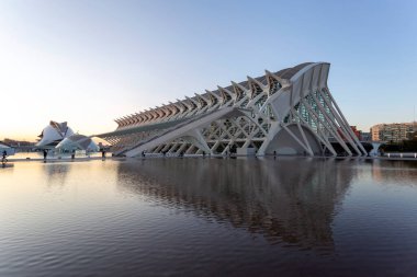 Valencia, İspanya - 05 07 2022: Valencia, İspanya 'daki Bilim ve Sanat Müzesi.